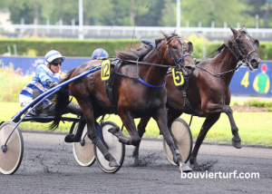 Arive Du Pmu Du Jour