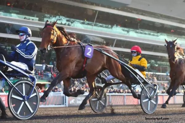 Cheval Coup Sur Du Jour