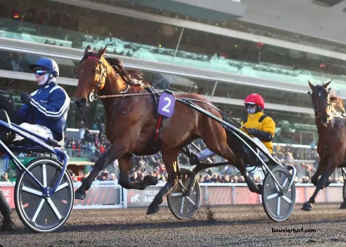 Cheval Coup Sur Du Jour