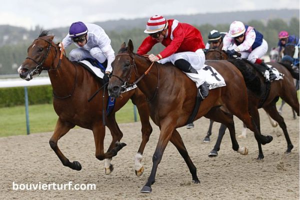 Cheval Gagnant Vip