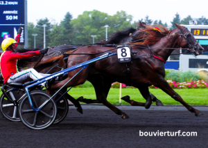 Le Bon Coup Du Jour Pmu