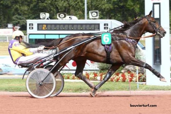 Zetop Trio Gagnant