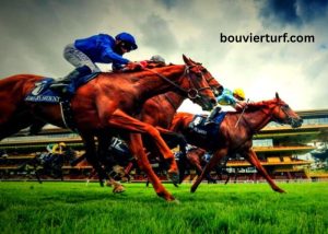 Couplé Gagnant Gratuit (4)