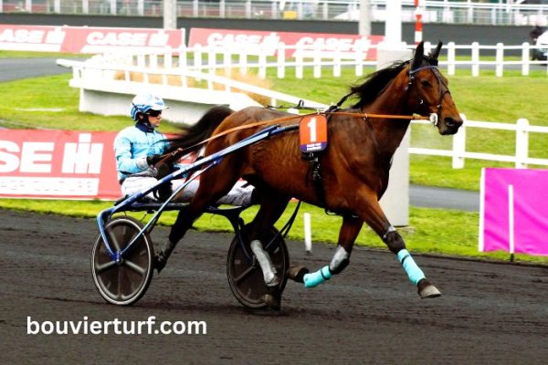 Gain Pmu Aujourd'hui (1)