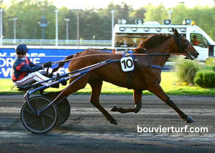 Jephte Turf Accueil (4)