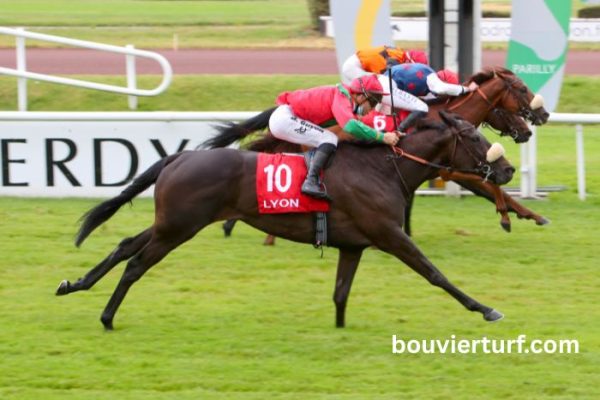 Lebosse Du Turf (1)