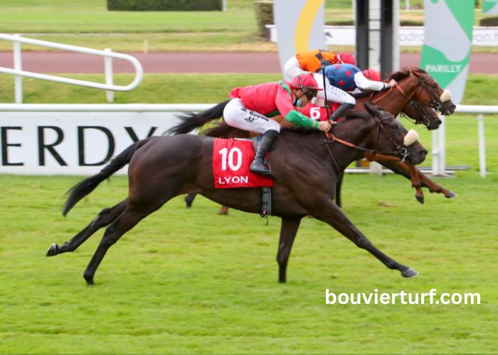 Lebosse Du Turf (1)