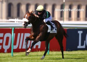 Les Craks Du Turf (2)