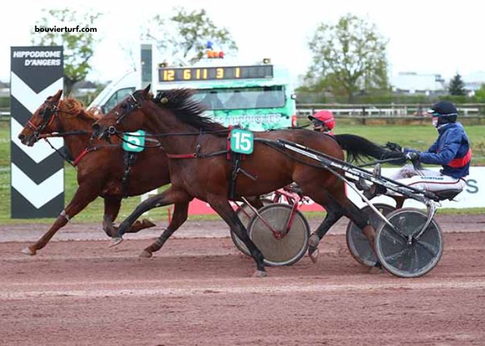 Meilleur Pronostic Pmu Gagnant (1)