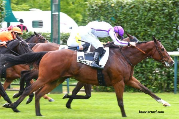 Ordre-Tierce Vip