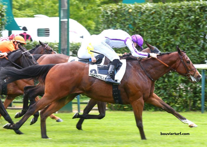 Ordre-Tierce Vip