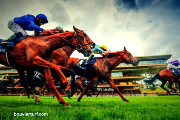 Prono en OR