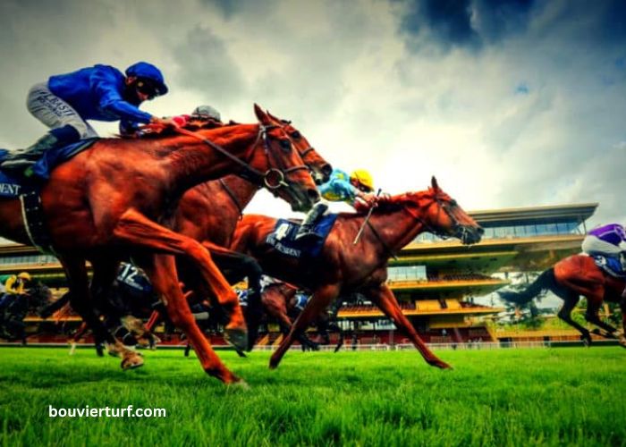 Prono en OR