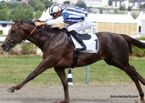 Specialiste Du Tierce (2)