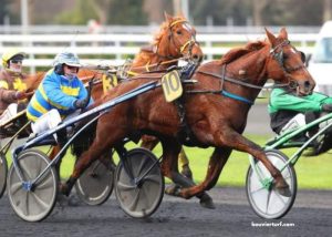 Turf Dernière Minute