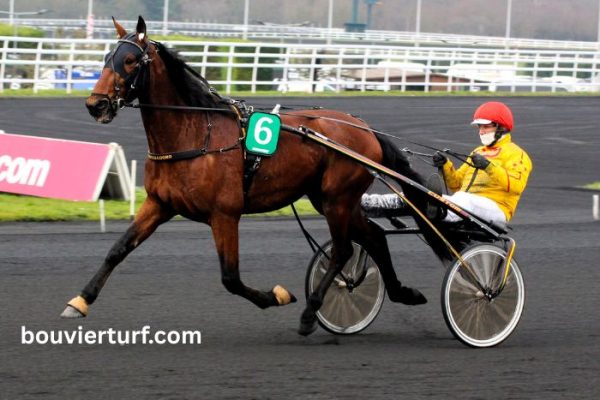 Turf Jeu Simple (2)