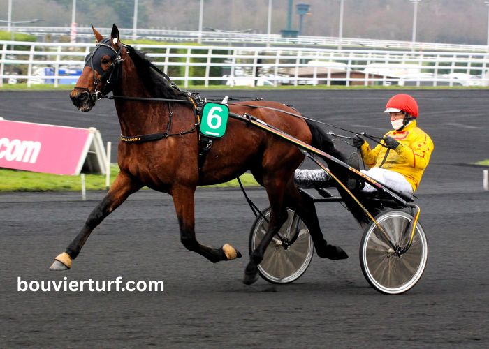 Turf Jeu Simple (2)