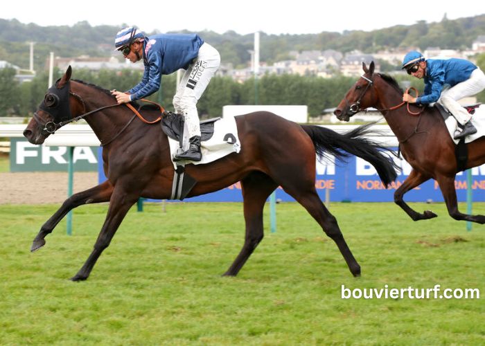 Champion Des Courses (6)