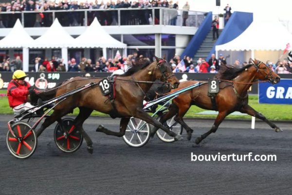 Course en Direct (1)