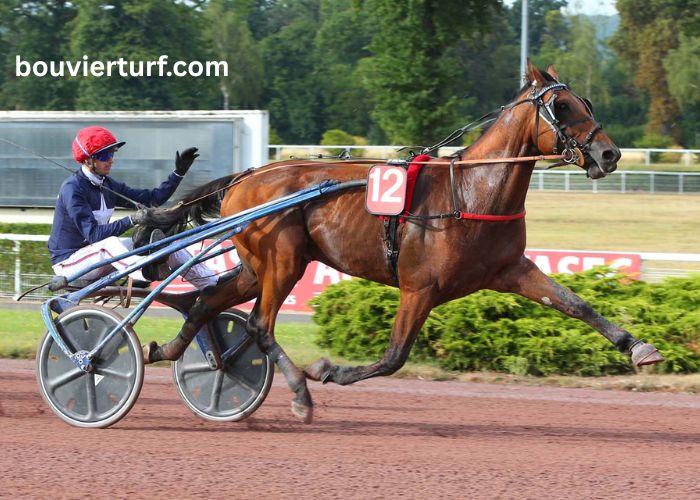 Duo Incontournable (2)
