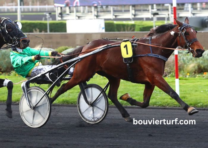 Formule Sur Turf (4)