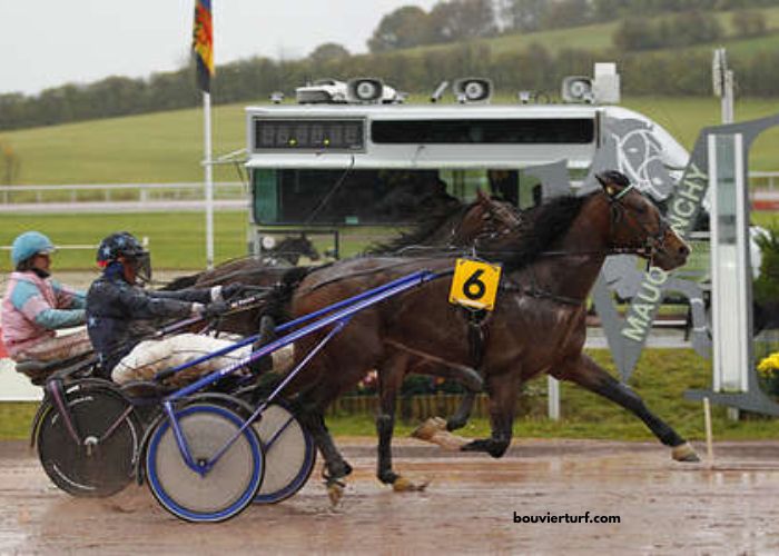 Fortune Turf Vip