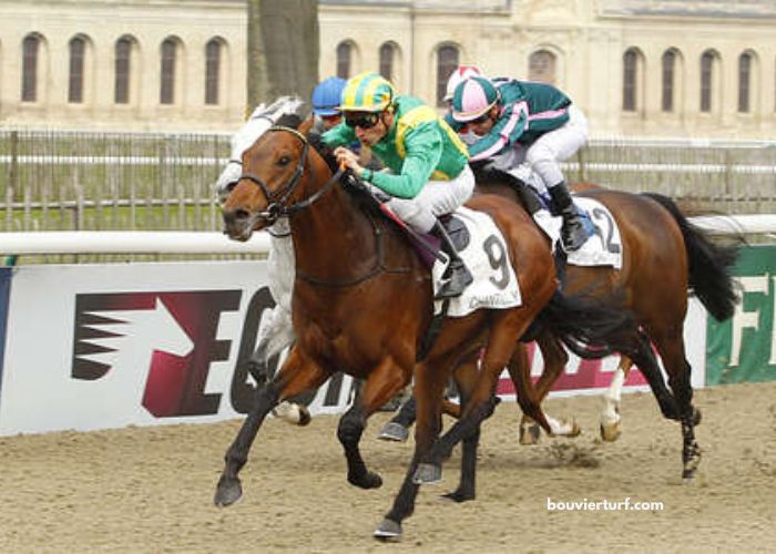 Jolie Turf Gagnant