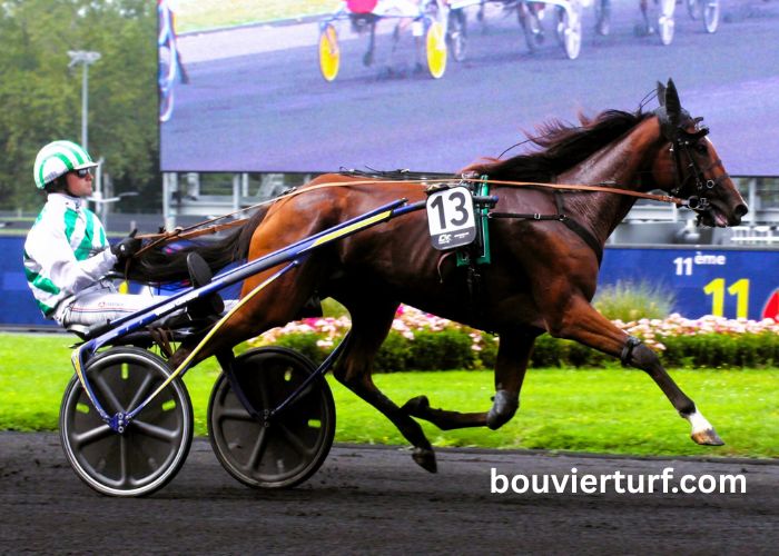 Le Duo Du Turf (1)