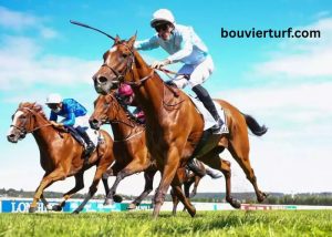 Le Journal Hippique (2)