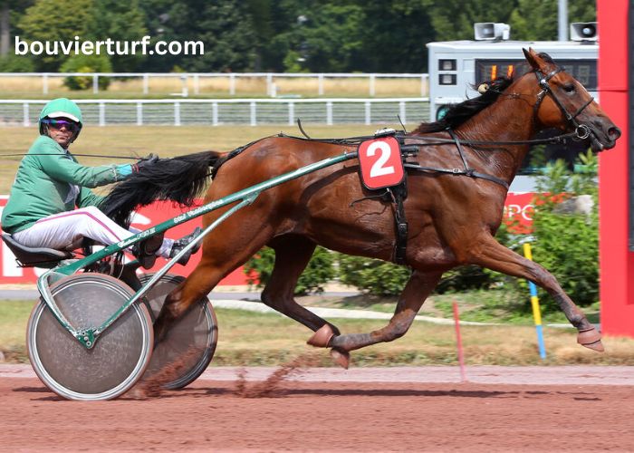 Power Turf Gagnant (2)