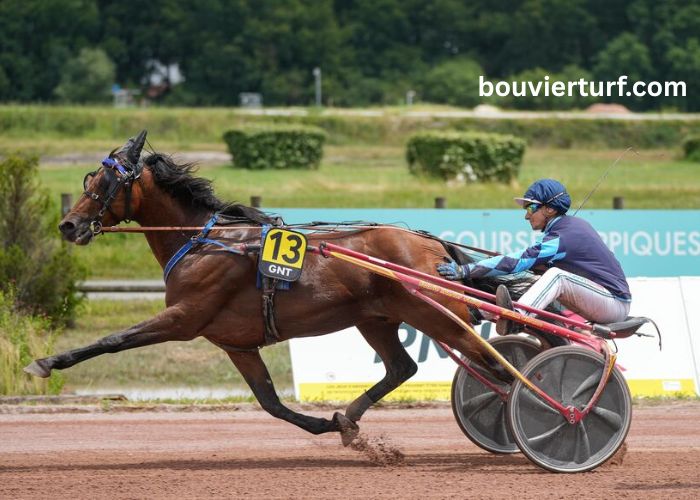 Programme Pmu DE Demain (6)