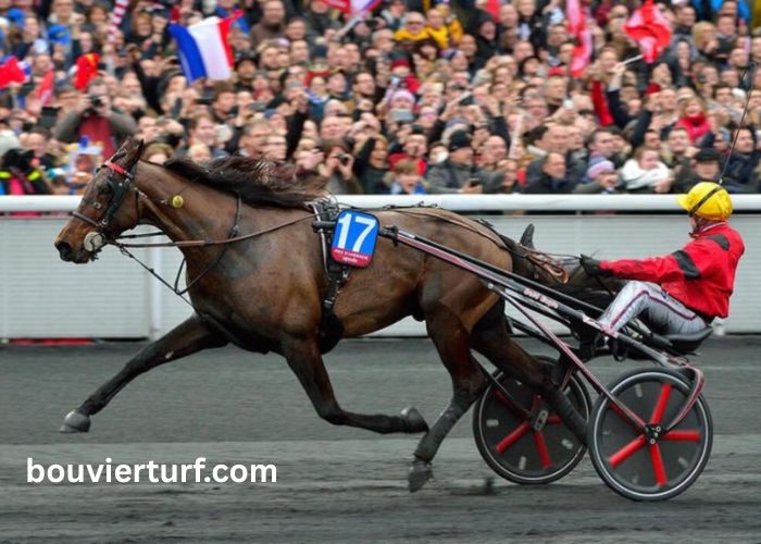 Promo Turf 100 Gratuit (1)