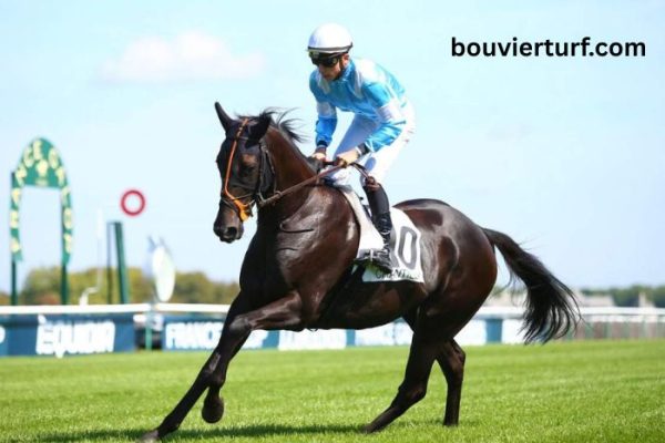 Turf D'or (100+) (6)