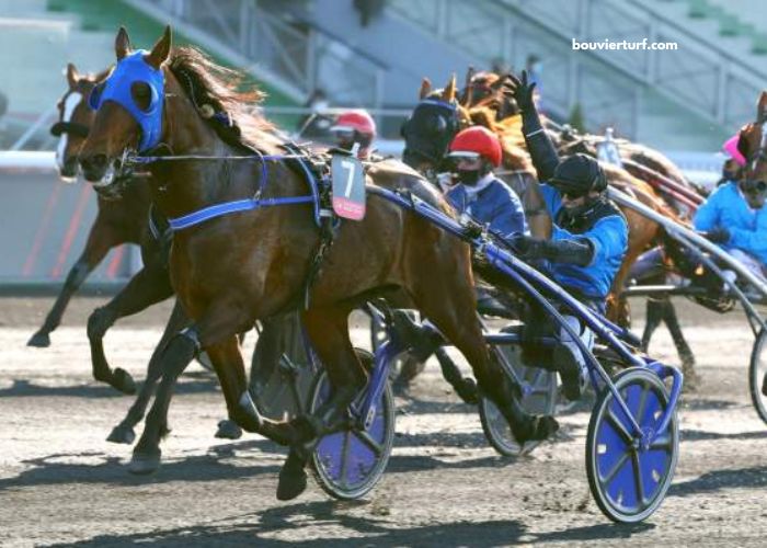 100100 Ordre Turf 