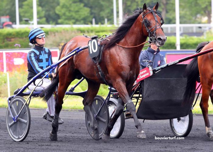 Ivoire Turf Vip